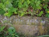 image of grave number 919836